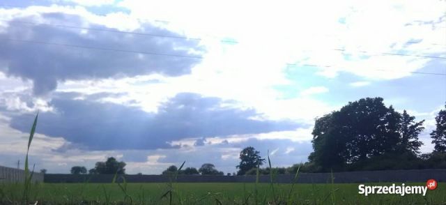 Działka rolna Żenichów. Zdjęcie 1