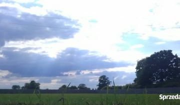Działka rolna Żenichów