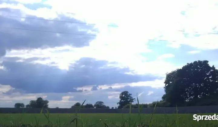 Działka rolna Żenichów