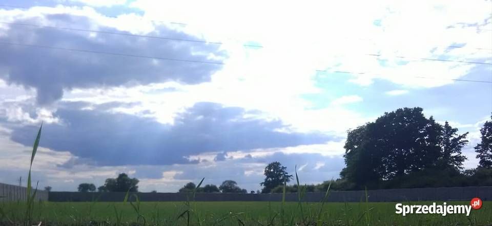 Działka rolna Żenichów