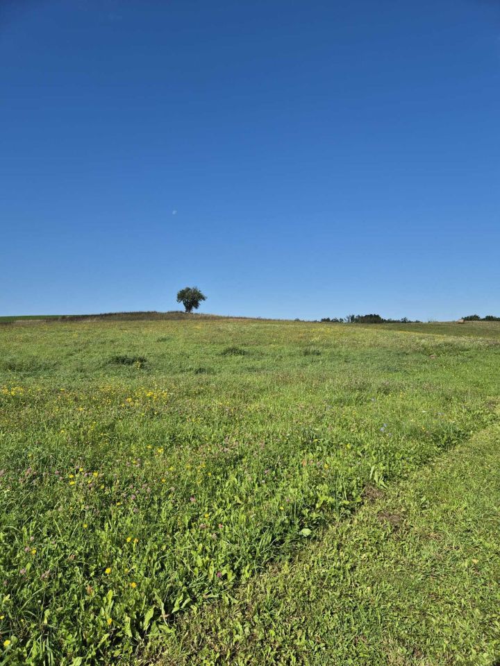 Działka budowlana Nowe Ramoty. Zdjęcie 3