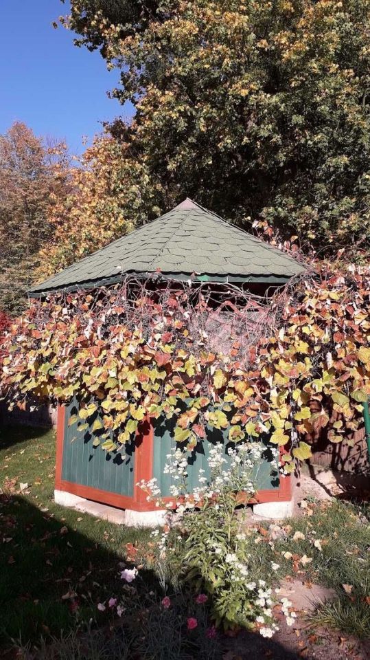 Mieszkanie 2-pokojowe Uhrusk. Zdjęcie 5