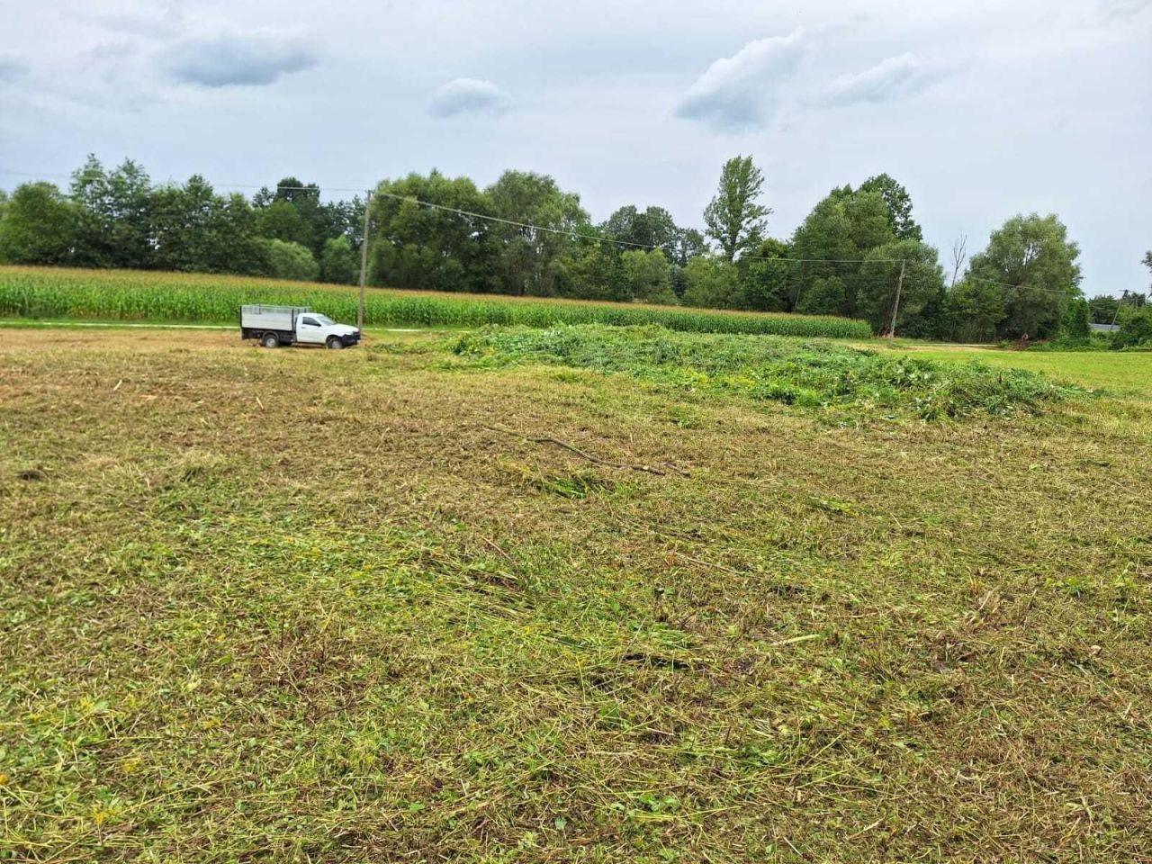 Działka rolno-budowlana Kupienin. Zdjęcie 4