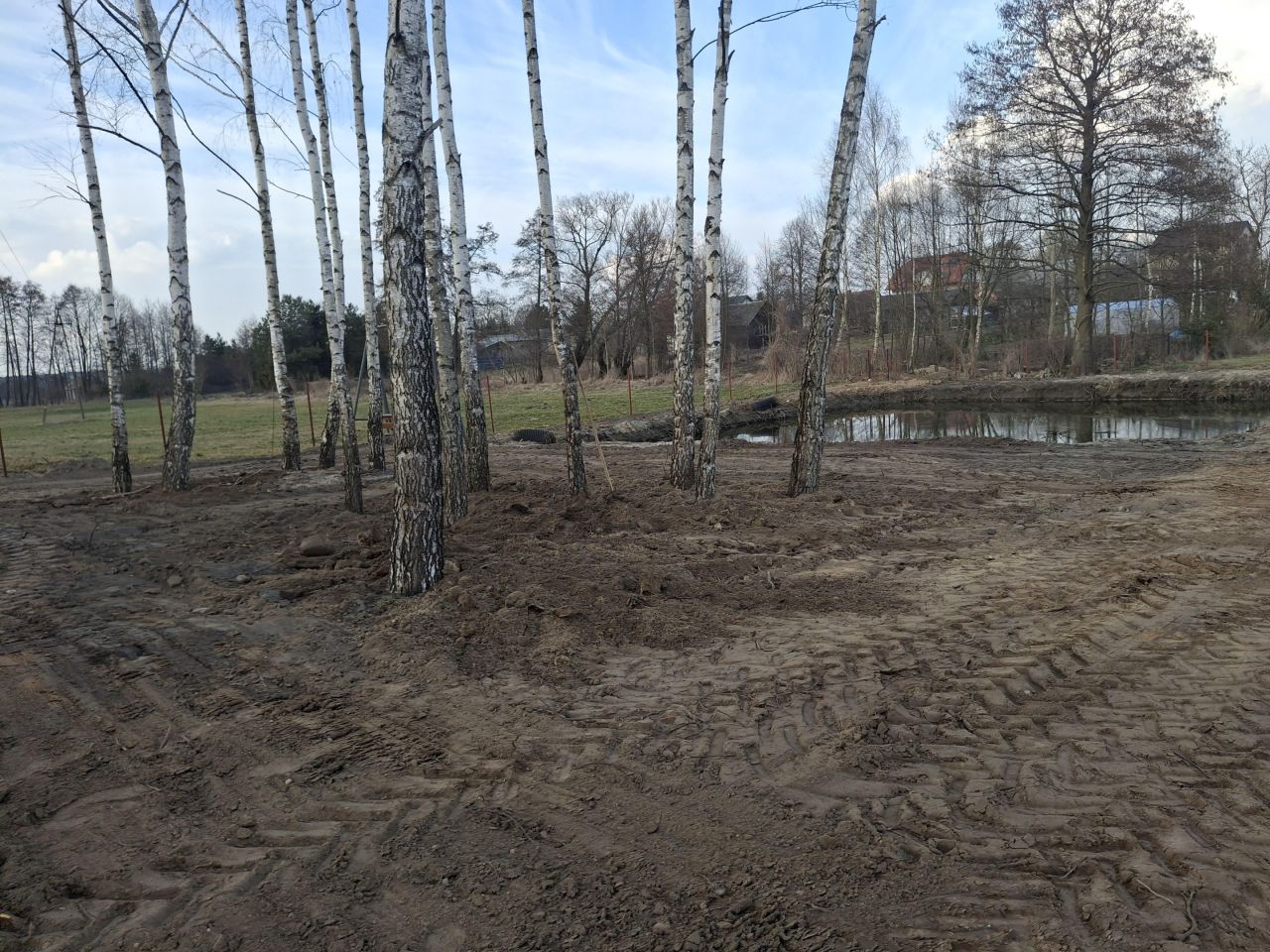 Działka budowlana Rogów Rogów Mały. Zdjęcie 3