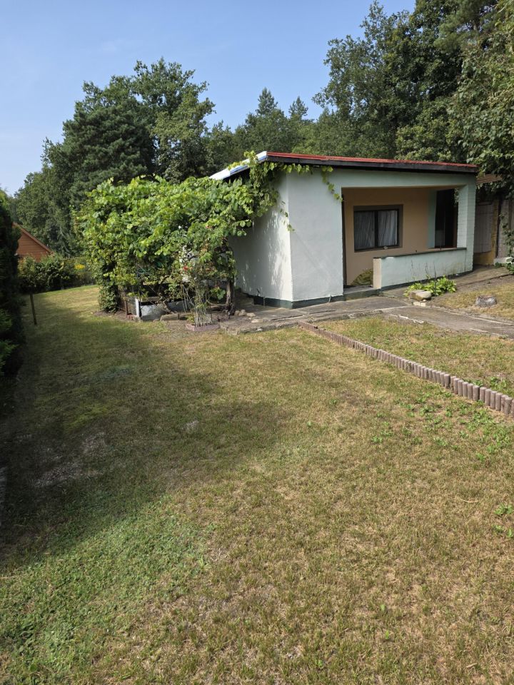 Działka rod Bartoszewo. Zdjęcie 5