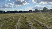 Działka rolno-budowlana Lasochów. Zdjęcie 3