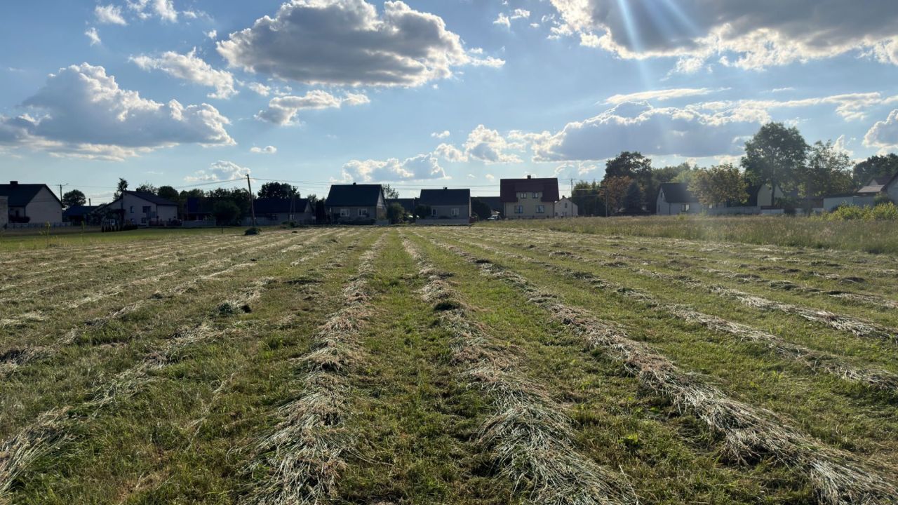 Działka rolno-budowlana Lasochów. Zdjęcie 4