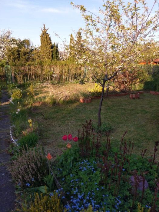 Działka rod Gdynia Mały Kack, ul. Grodnieńska. Zdjęcie 19