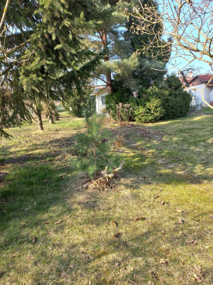 Działka rod Szczecin Krzekowo, ul. Waleriana Łukasińskiego. Zdjęcie 7