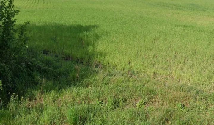 Działka budowlana Celiny