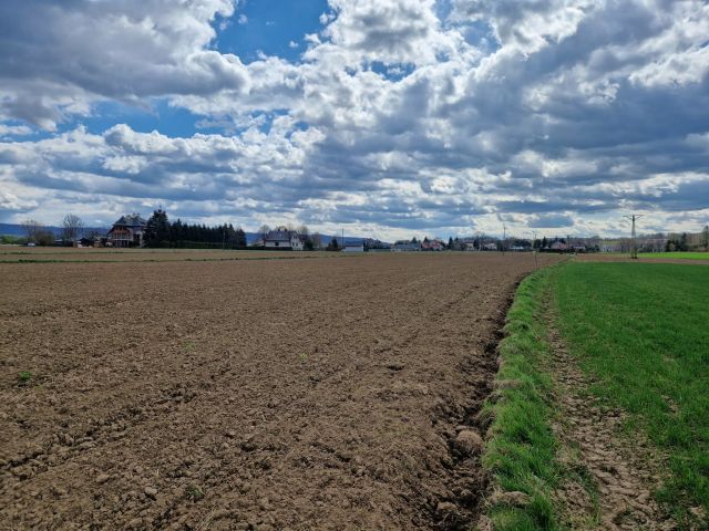 Działka budowlana Pilzno, ul. Grottgera. Zdjęcie 10