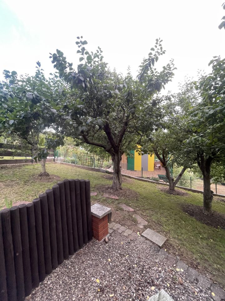 Działka rod Wieniec-Zalesie Dziadowo-Folwark, ul. Zdrojowa. Zdjęcie 3