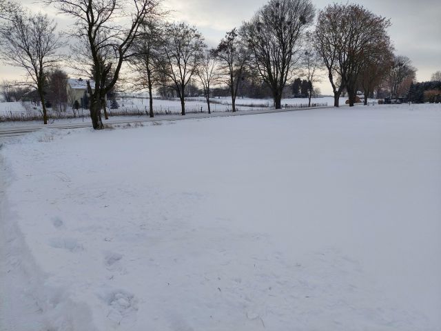 Działka siedliskowa Strzelce. Zdjęcie 6