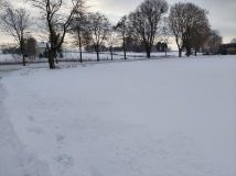 Działka siedliskowa Strzelce. Zdjęcie 4