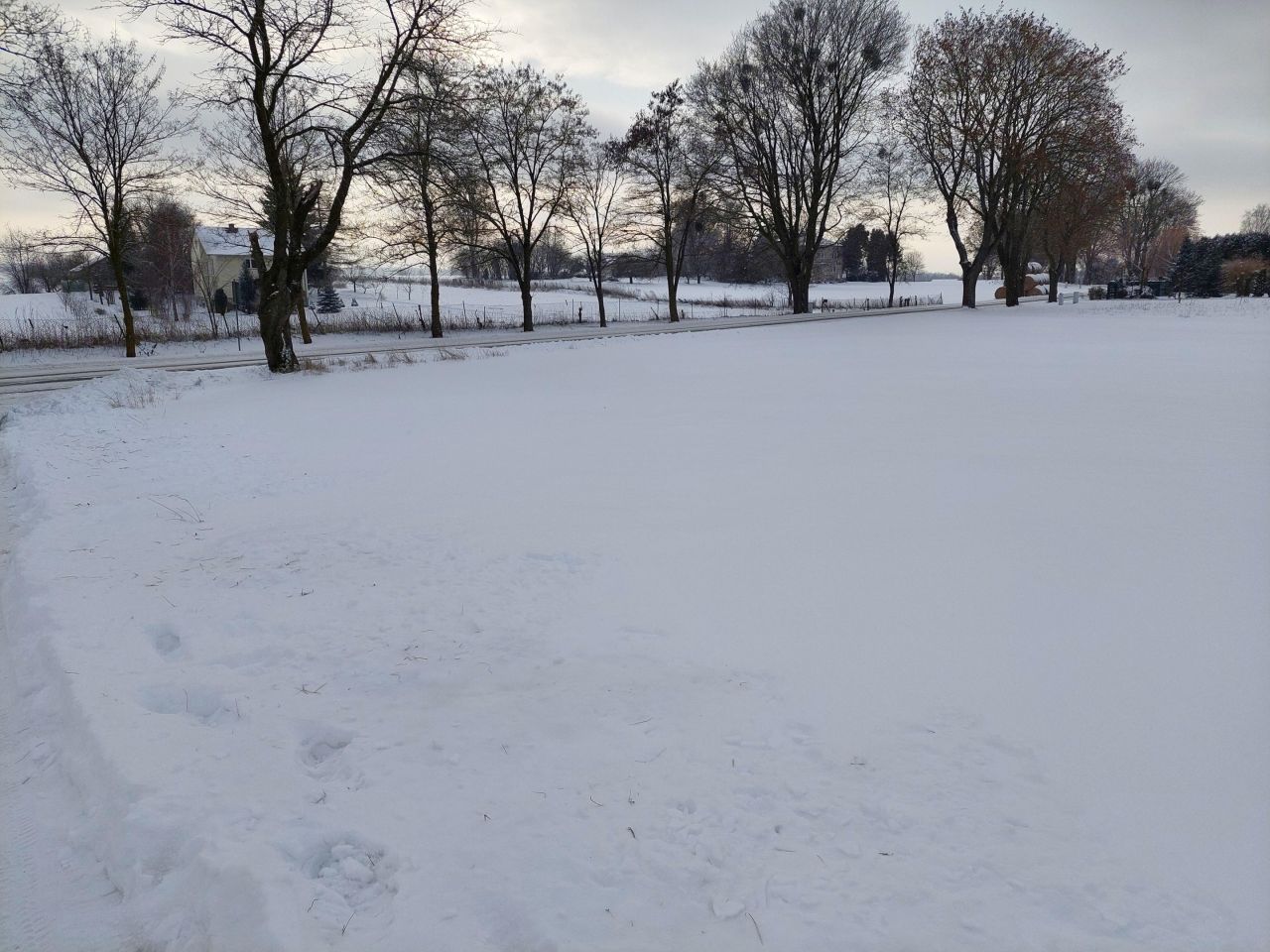 Działka siedliskowa Strzelce, Dulębów. Zdjęcie 6