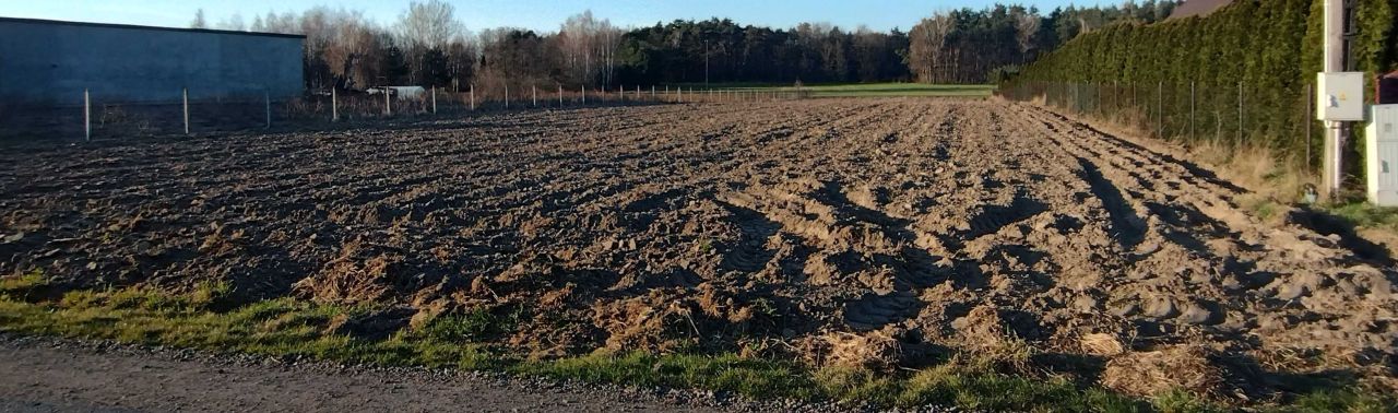 Działka budowlana Trzcianna. Zdjęcie 4