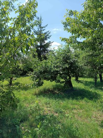 Działka budowlana Brzeźce, ul. Główna. Zdjęcie 8