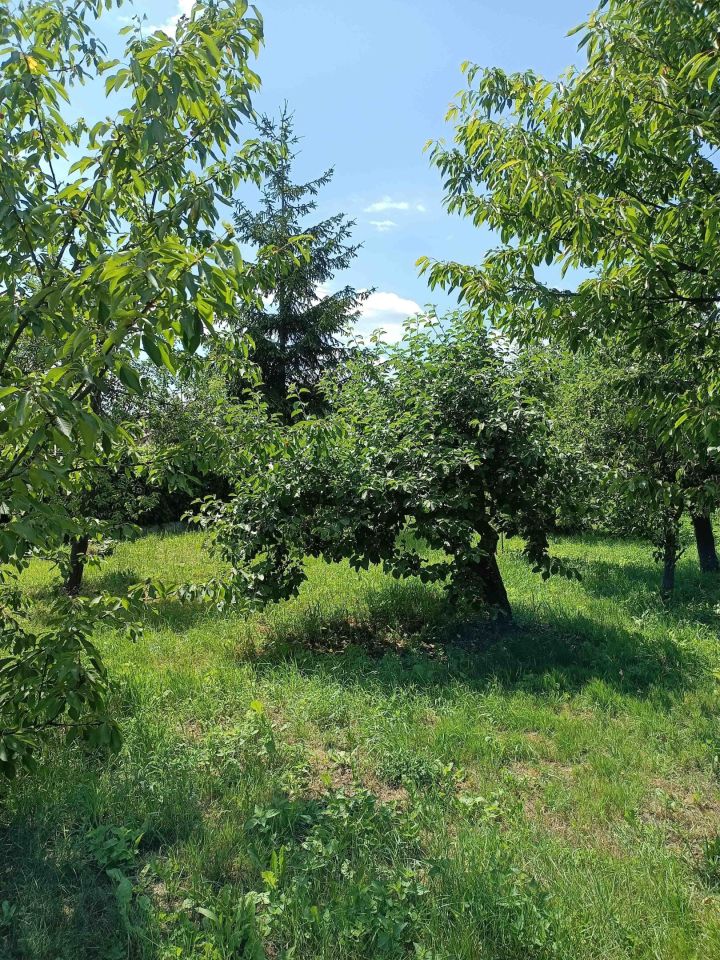 Działka budowlana Brzeźce, ul. Główna. Zdjęcie 8