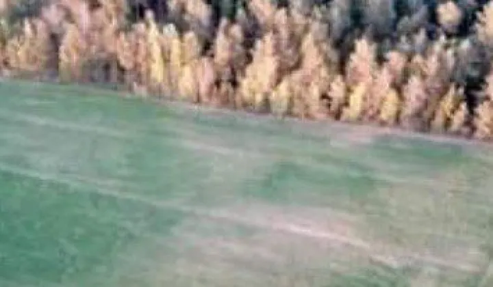 Działka budowlana Borsukówka