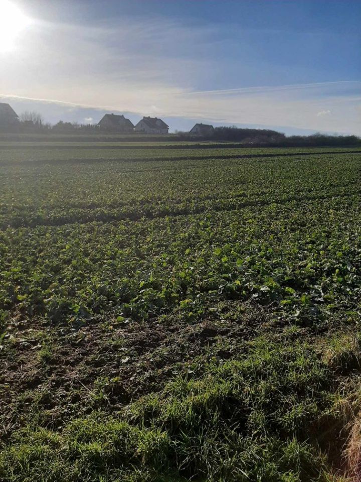 Działka budowlana Pułtusk. Zdjęcie 3