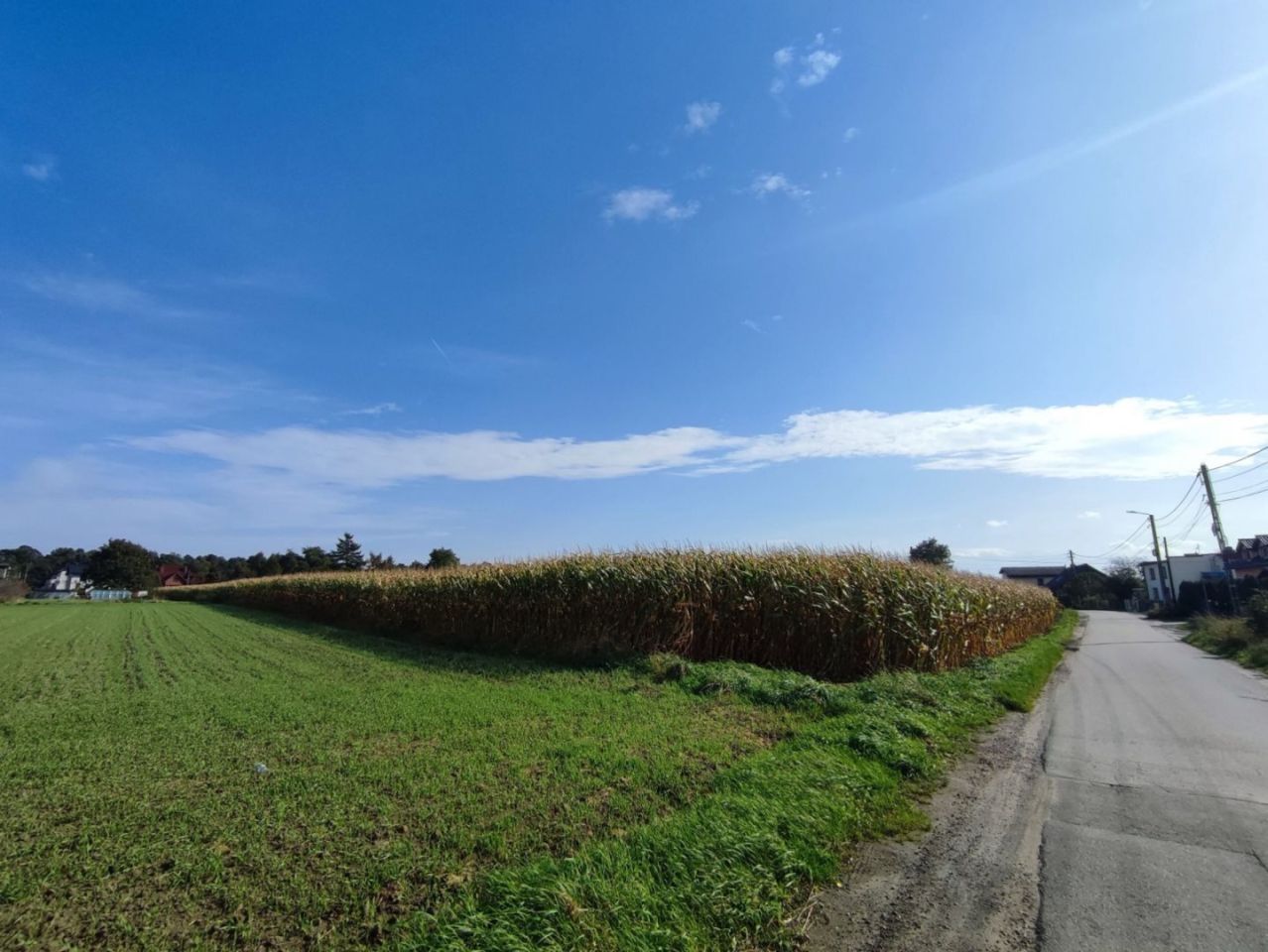 Działka budowlana Studzienice, ul. Sarenek. Zdjęcie 5