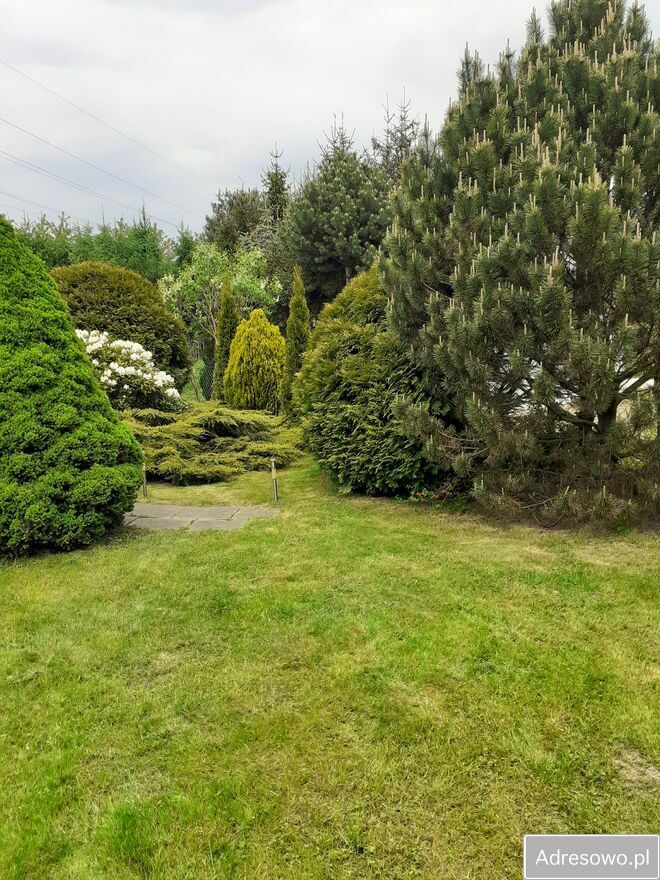 Działka rod Kraków Golikówka. Zdjęcie 6