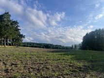 Działka rekreacyjna Demlin. Zdjęcie 4