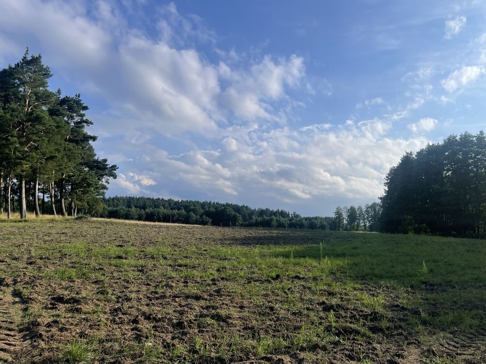 Działka rekreacyjna Demlin. Zdjęcie 5