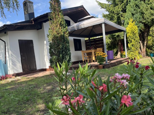 Działka rod Szczecin Pomorzany, ul. Przy Ogrodach. Zdjęcie 1