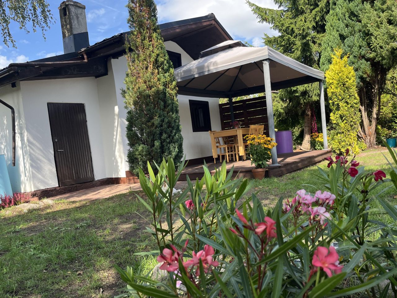 Działka rod Szczecin Pomorzany, ul. Przy Ogrodach. Zdjęcie 1