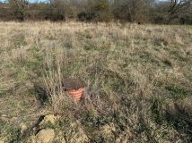 Działka budowlana Żelistrzewo. Zdjęcie 1