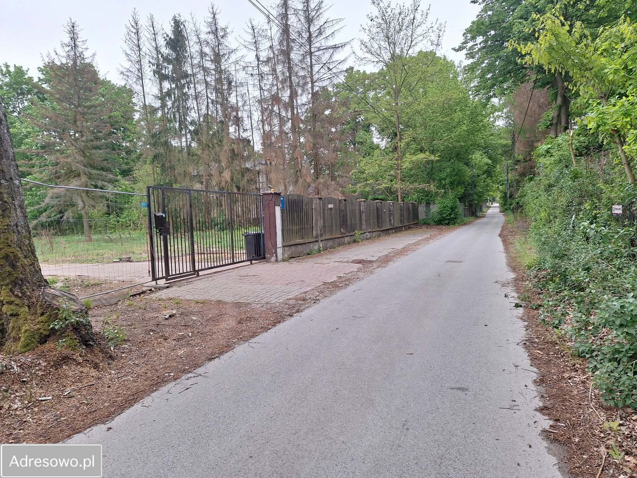 Działka budowlana Złotokłos, ul. Słoneczna. Zdjęcie 3