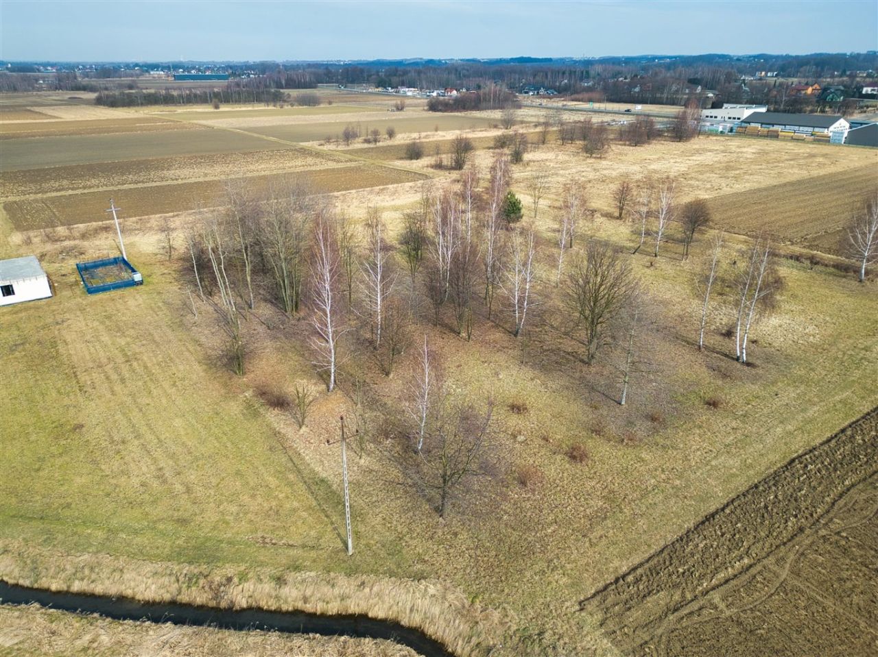 Działka Nowa Wieś. Zdjęcie 5