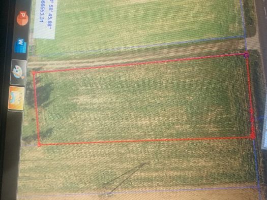 Działka rolno-budowlana Niemojewo. Zdjęcie 3