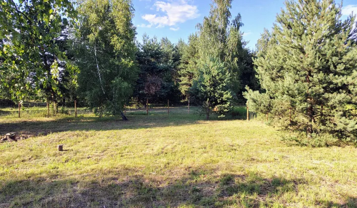 Działka budowlana Marylka, ul. Dębowa