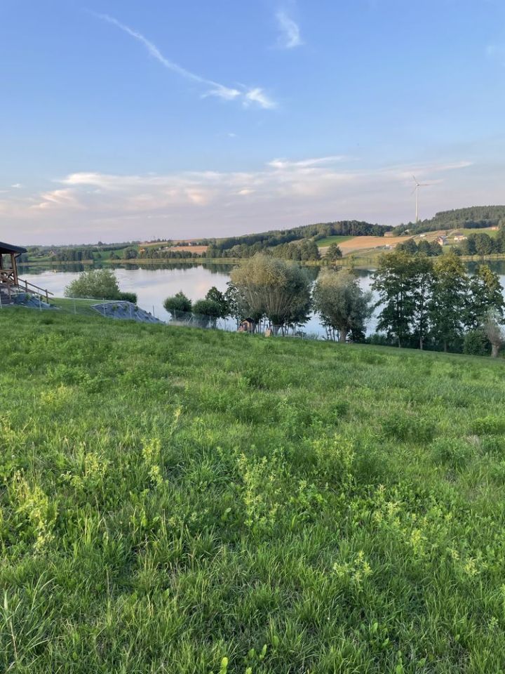 Działka budowlana Jankowo. Zdjęcie 8