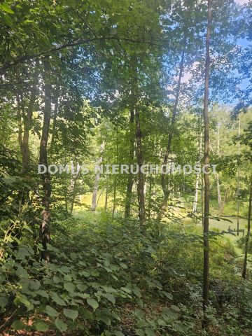 Działka leśna Nagawki. Zdjęcie 7