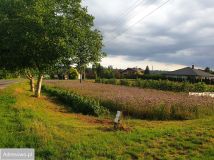 Działka budowlana Wyżnianka-Kolonia. Zdjęcie 3