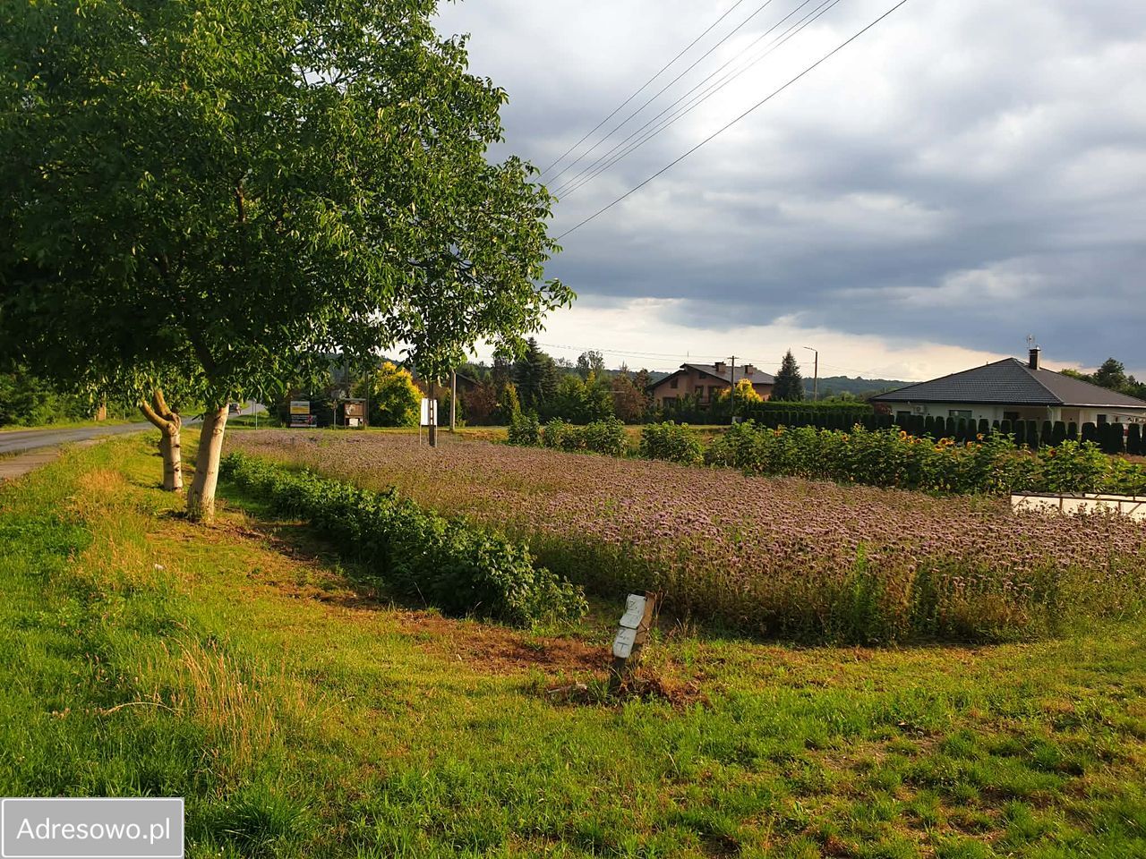 Działka budowlana Wyżnianka-Kolonia. Zdjęcie 4