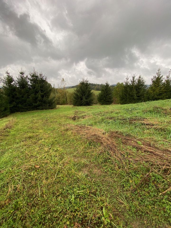 Działka rolno-budowlana Hoczew. Zdjęcie 9
