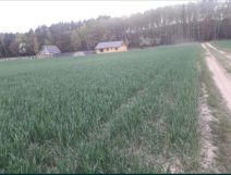 Działka rolna Potrzanowo. Zdjęcie 2