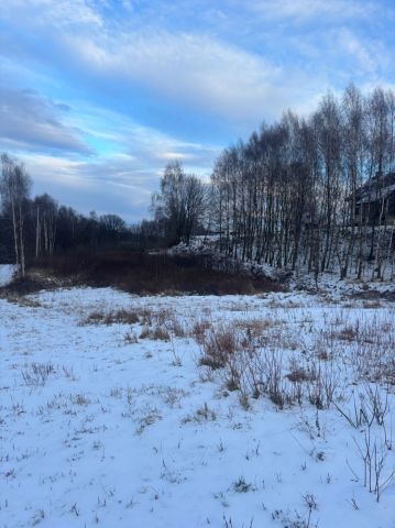 Działka budowlana Wodzisław Śląski Wilchwy. Zdjęcie 1