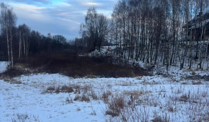 Działka budowlana Wodzisław Śląski Wilchwy