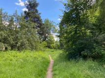 Działka budowlana Głowno Swoboda, ul. Swoboda. Zdjęcie 3