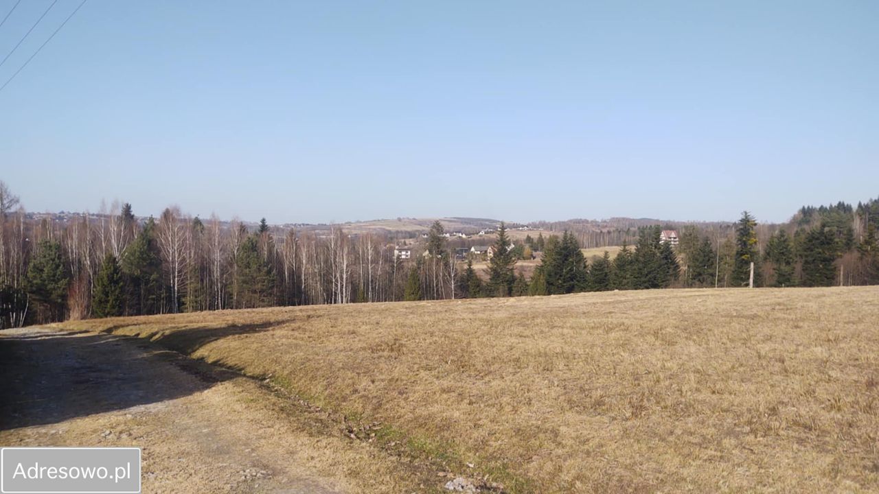 Działka budowlana Dąbrówka. Zdjęcie 4