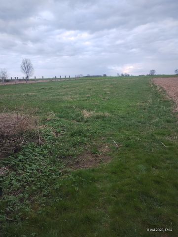 dom wolnostojący, 2 pokoje Wilkowo Stare. Zdjęcie 10