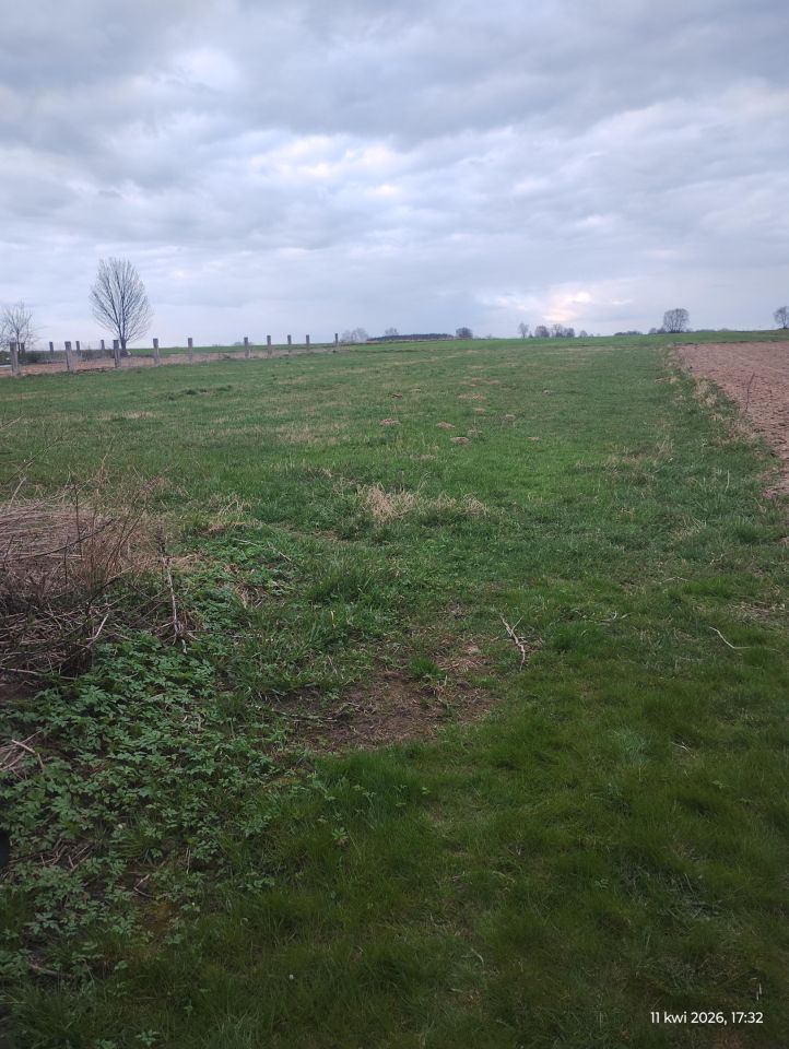 dom wolnostojący, 2 pokoje Wilkowo Stare. Zdjęcie 10