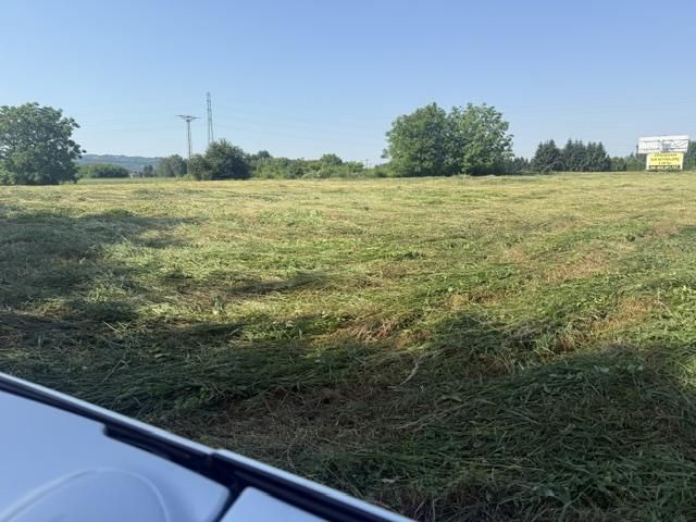 Działka inwestycyjna Mikołajowice. Zdjęcie 4