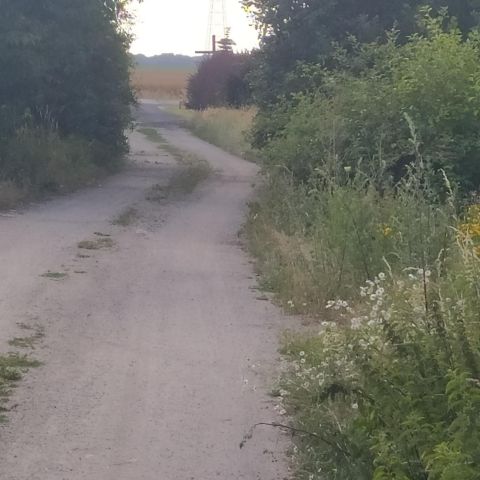 Działka siedliskowa Kulin. Zdjęcie 1