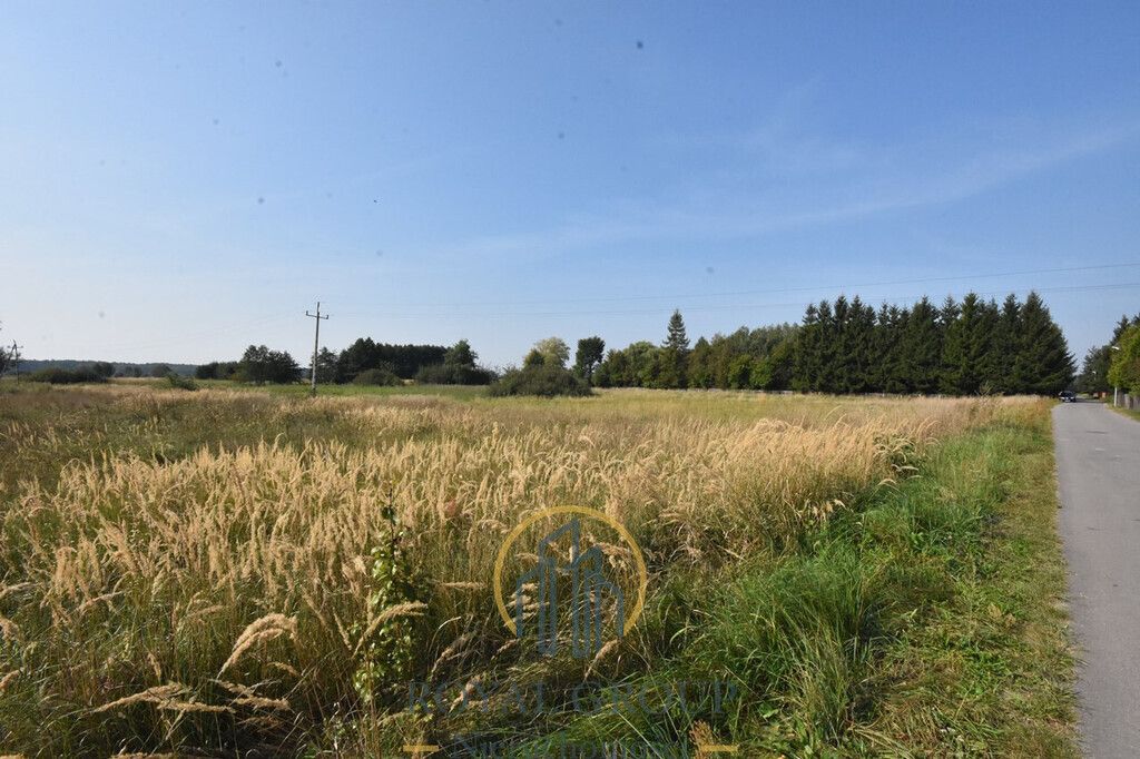 Działka Kamionka. Zdjęcie 1